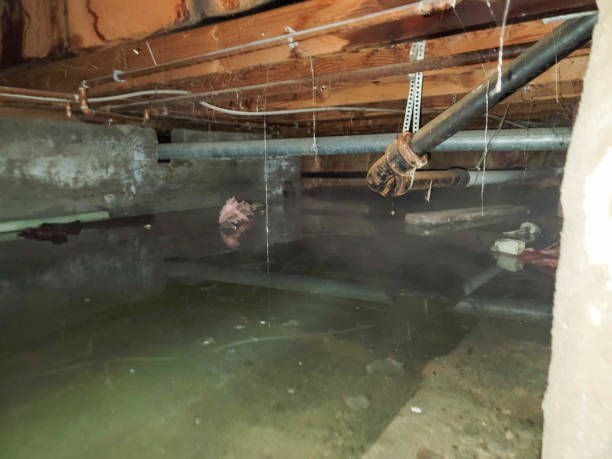 Best Sewage cleanup and water damage restoration  in Kraemer, LA