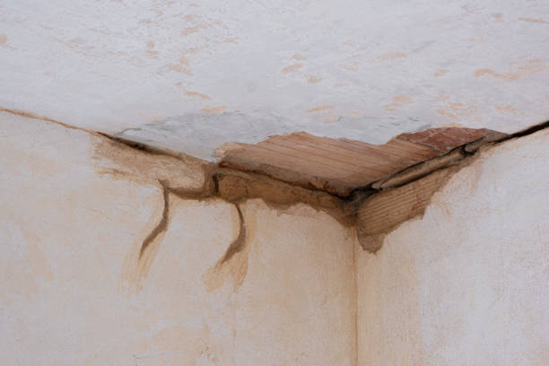 Best Flood restoration services  in Kraemer, LA