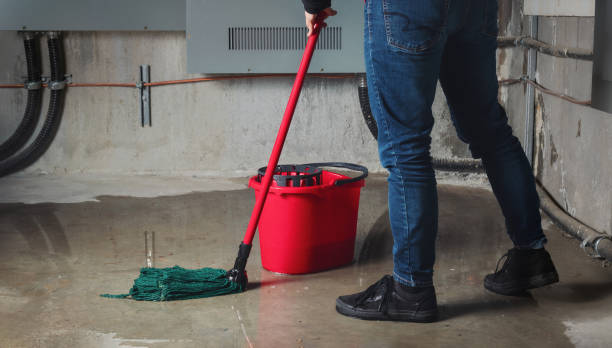 Best Flooded house restoration  in Kraemer, LA