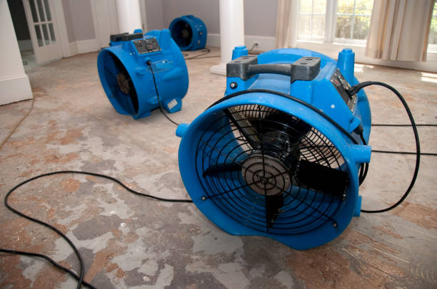 Best Water damage restoration near me  in Kraemer, LA