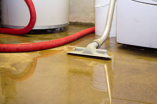 Best Residential water damage restoration  in Kraemer, LA