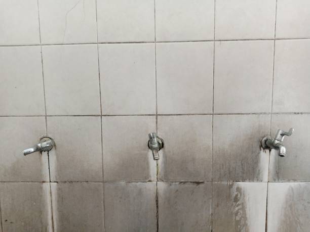 Carpet water damage restoration in Kraemer, LA
