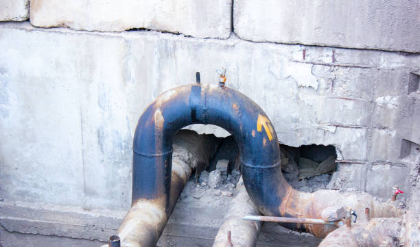 Best Mold removal after water damage  in Kraemer, LA